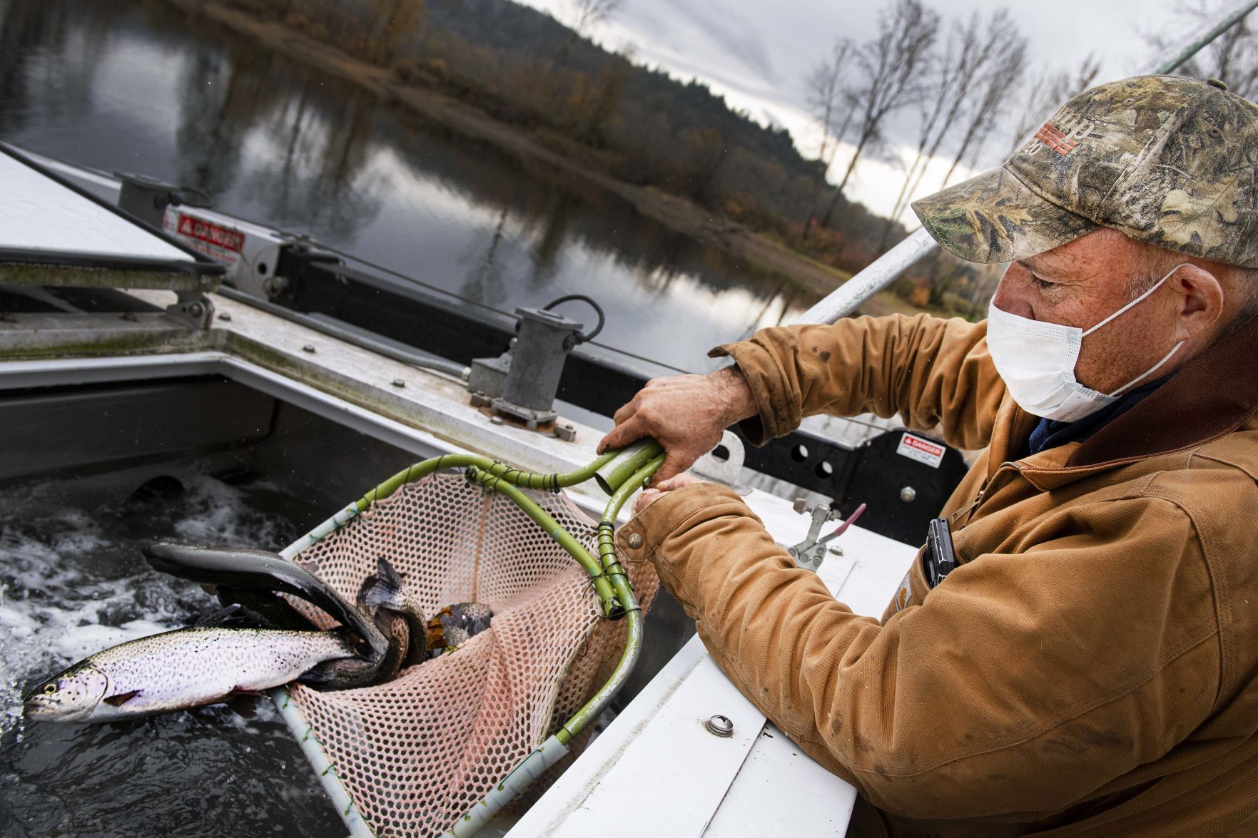 Trout stocking